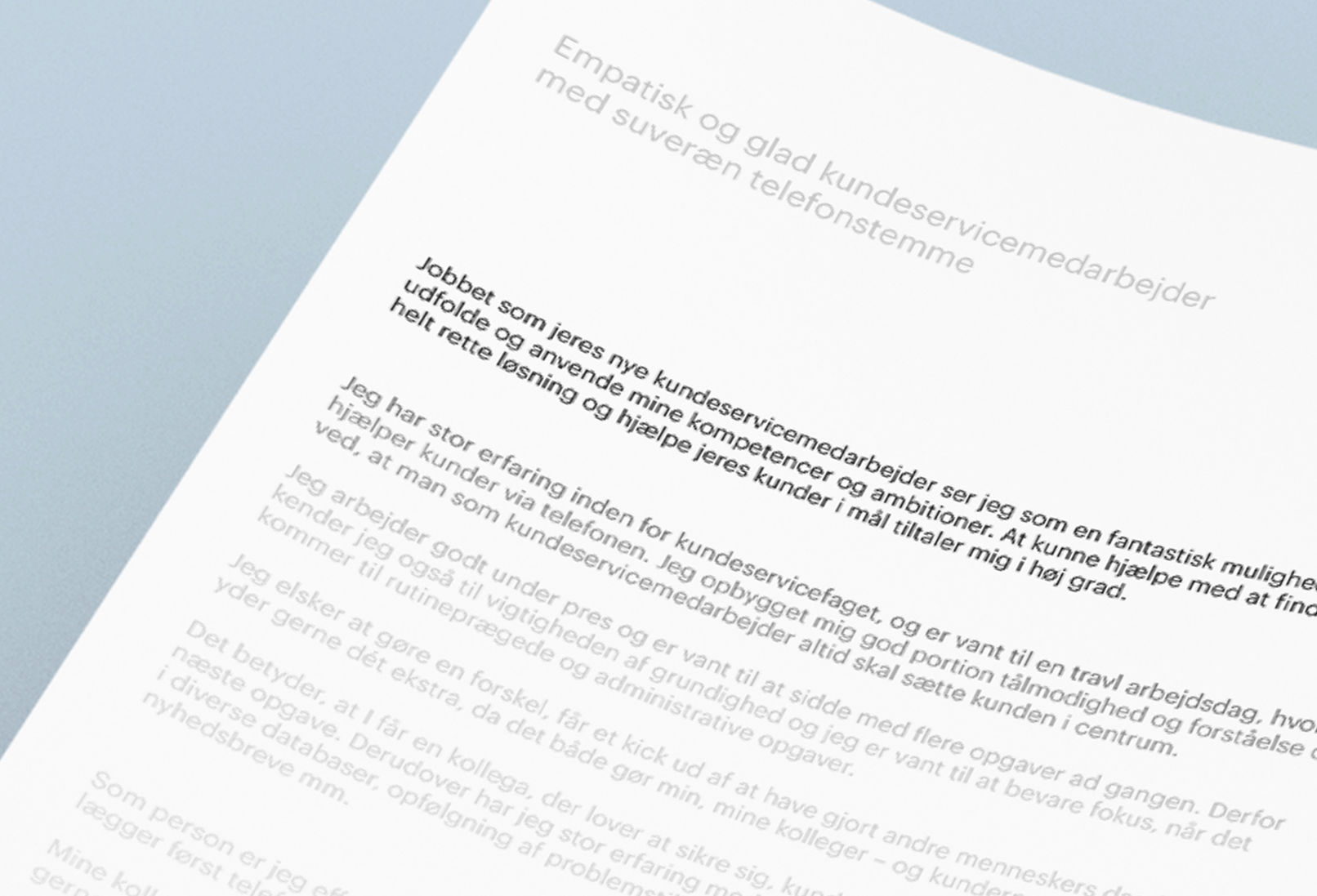 den gode ansøgning rubrik